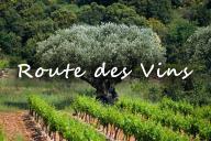 Het Mozaïek van het Provençaalse Terroir
