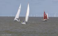  BLANKENBERGE. Ostrea Rose Classic Race.