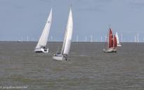  BLANKENBERGE. Ostrea Rose Classic Race.